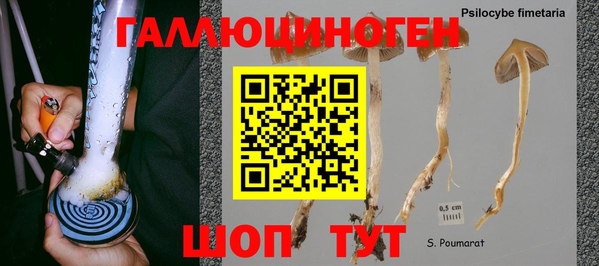 Псилоцибиновые грибы GOLDEN TEACHER  Вход с VPN  Новошахтинск 