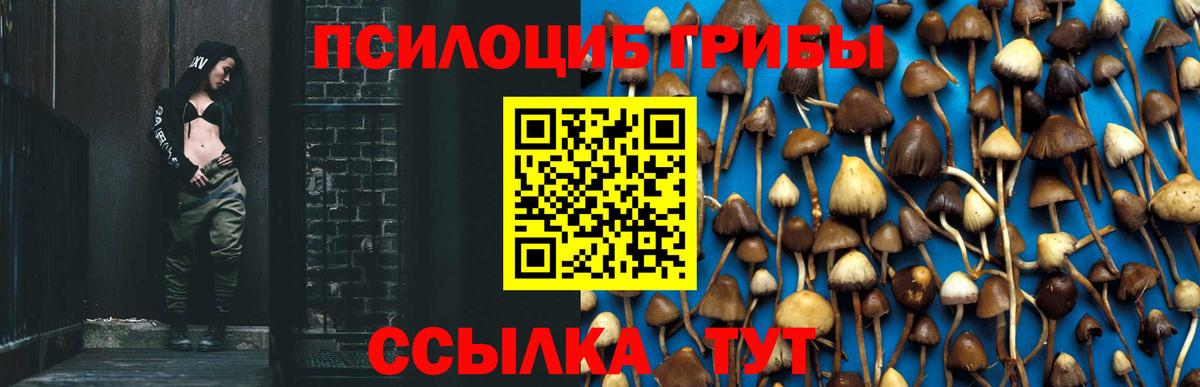 Кокаин Новошахтинск